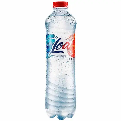 Loa 625ML